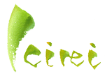 kirei logo
